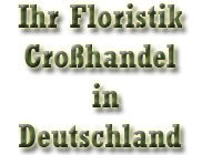 Ihr Floristik Grosshandel in Deutschland
